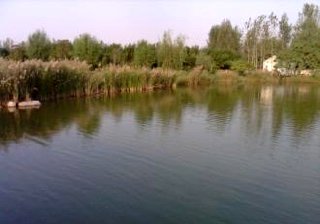 滁州小吴坝钓场