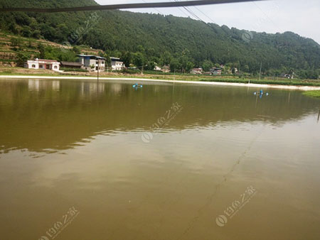遂宁碑嘴塘钓场