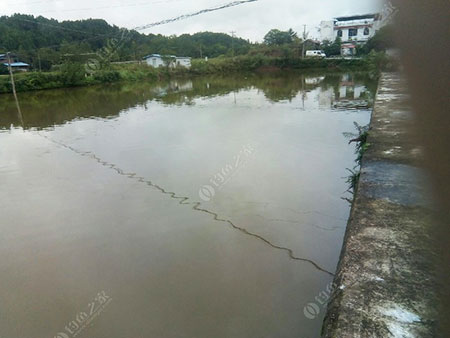 遂宁白兆弯钓场