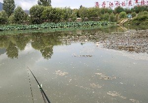 商洛丹江河