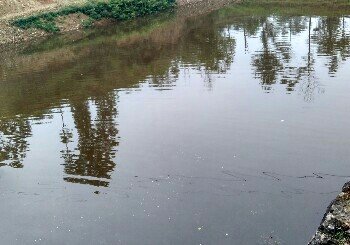 商洛桥耳沟水库