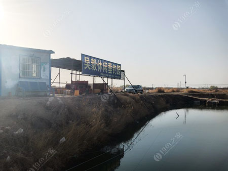 石嘴山吴毅休闲垂钓园