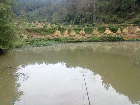 石河子玛纳斯河