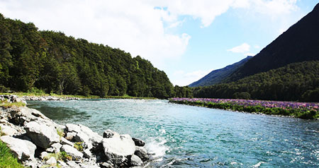 铁岭红顶山水库