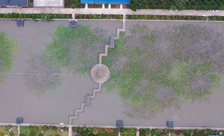 泰州泓膏生态园