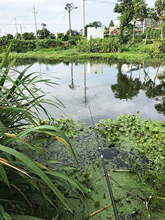 泰州金沙中沟河