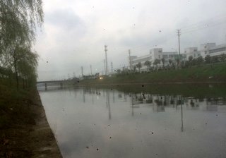 泰州西姜黄河