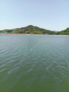 台州浮门水库