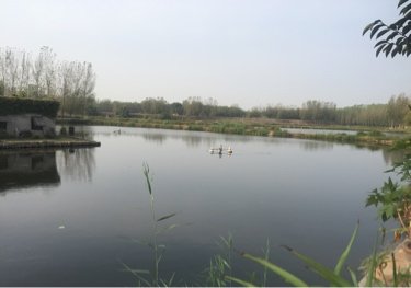 泰安西穆河鱼塘