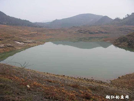 铜仁桃谷坪水库