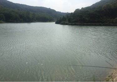 铜川枣园水库