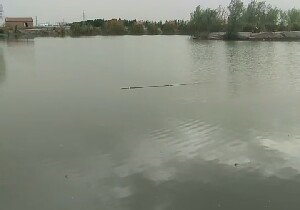 塔城泉水湖垂钓园