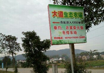 池州大道生态农场