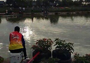 乌海湿地公园游龙湾鱼庄