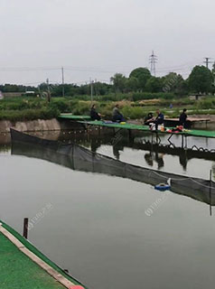 无锡无锡谢埭荡老黑农场