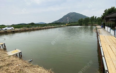 无锡九一八钓场