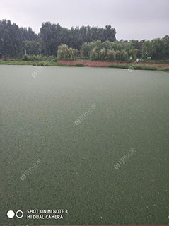 潍坊白浪河