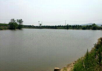 威海远庄垂钓园
