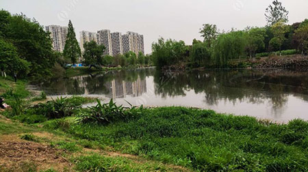 武汉东湖港
