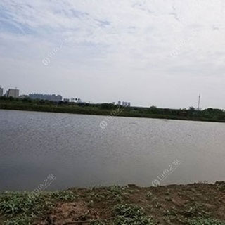 武汉接龙桥水库