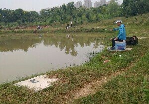 武汉老陈钓场