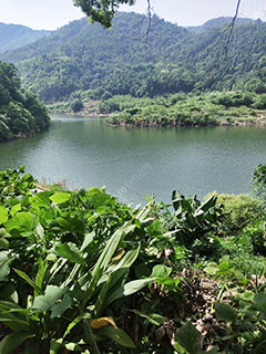 梧州古麻水库