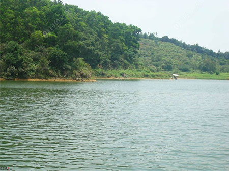 梧州斜冲水库
