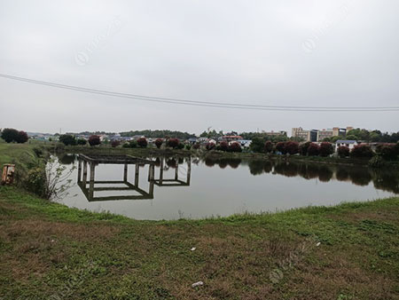 长沙金露钓场