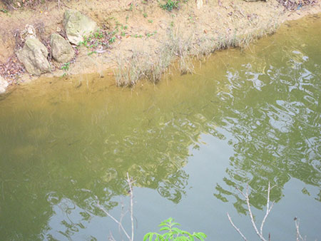 文山马鞭稍水库