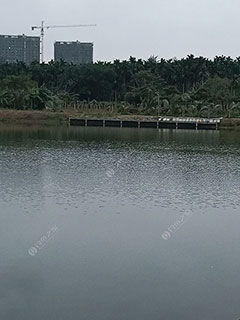 文昌上文村钓鱼场