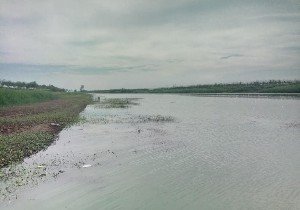 邢台清凉河