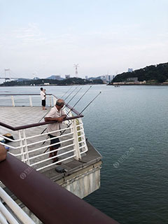 厦门海沧河