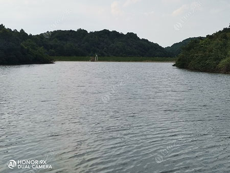 新余黎家水库
