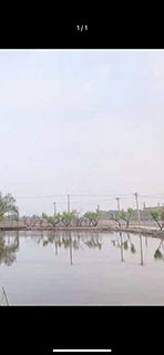 许昌驰阳发制品垂钓园