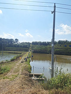 信阳光山县祥玲家庭农场