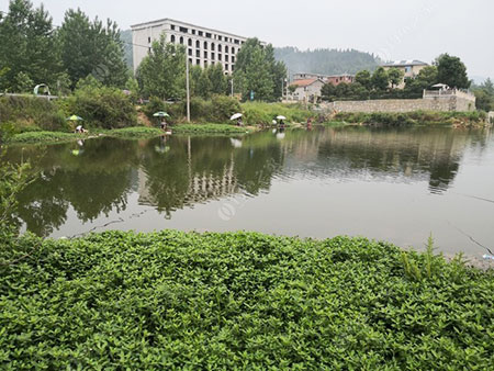 《襄阳水质好能野钓的水库有哪些?襄阳哪些水库可以钓鱼?》封面图