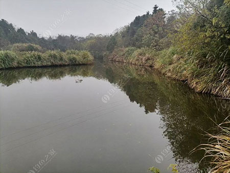湘潭唐家鱼塘