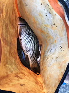 湘潭水乡鱼府饭庄