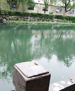 湘潭伍哥垂钓中心