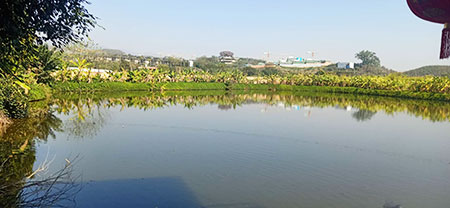 西双版纳曼达村钓场