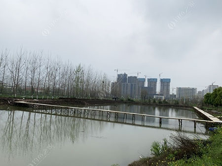 仙桃都健康生态钓场