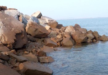 营口渤海