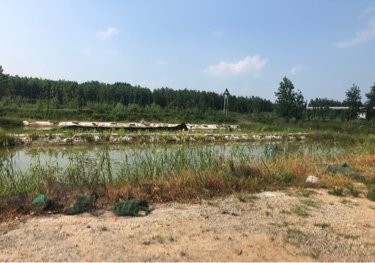盐城果林钓场