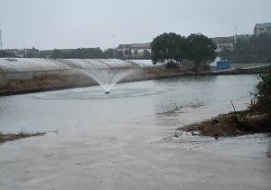 鹰潭鹰潭同年生态渔业
