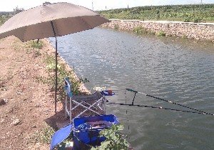 烟台91农场大物池
