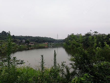 宜昌龙凤水库