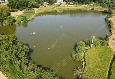 岳阳夏帅钓场
