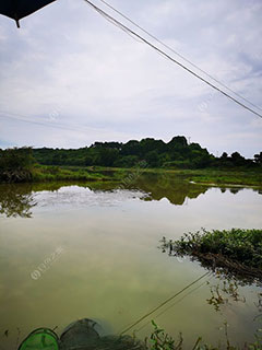 岳阳赤溪渡沙河