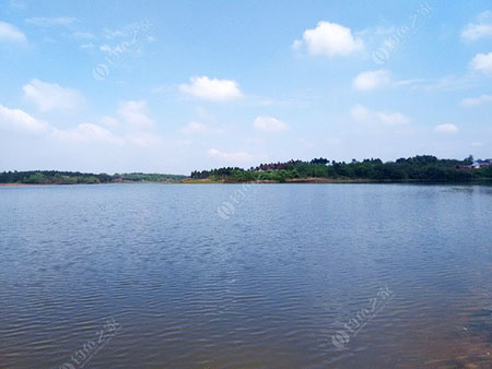 岳阳南林水库