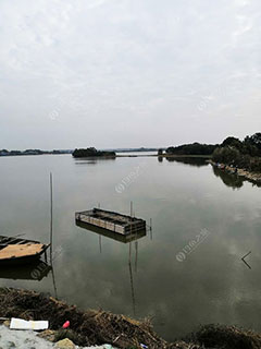 益阳德兴湖钓场